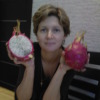Елена Колесова