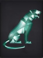 Данил Ткаченко