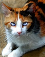 Александра Ивахненко