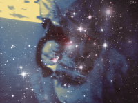 Екатерина Блинова