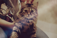 Лера Лапшина