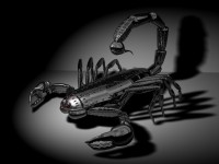 Игорь Вишневский
