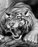 Сергей Алмаатинец