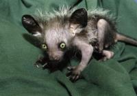 Александр Леонов