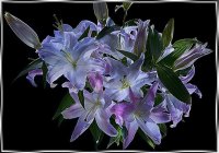 Татьяна Marumba