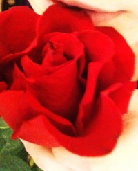 Oil1509 Ильницкая