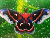 Elena_Elena Елена