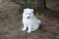 Фёдор Сандаков