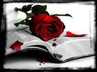 Аркадий Элиович