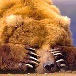 Валерий Медведев